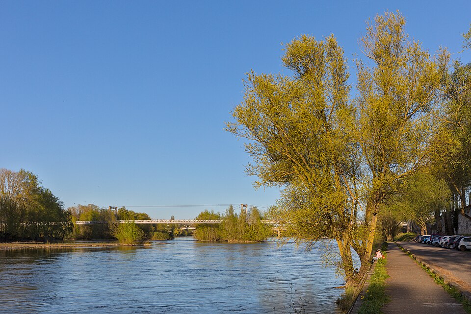 La Loire à Tours vue depuis le quai : le fleuve large et peu profond, des bancs de sable couverts de saules au milieu du lit, un pont métallique au fond, un chemin de halage bordé d'arbres à droite