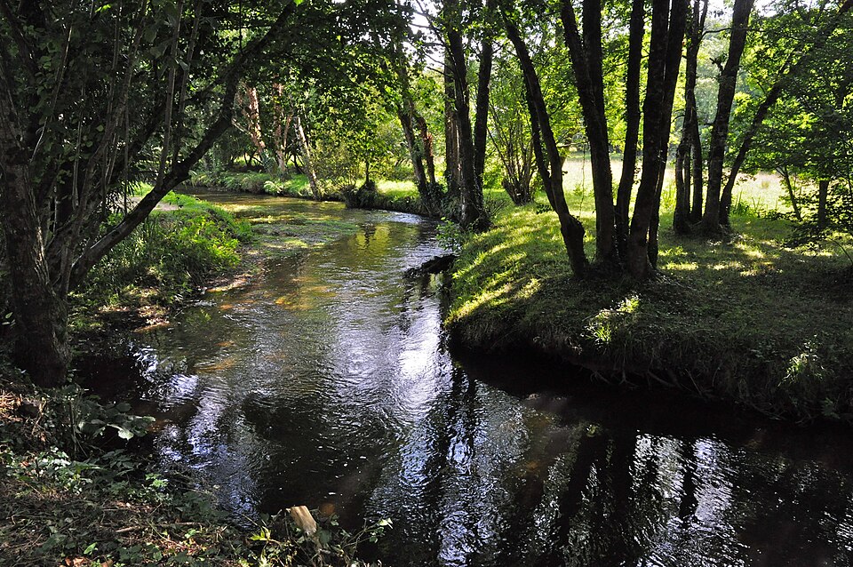 L'Élorn dans son cours supérieur : rivière claire et peu profonde sur fond de galets, courant lisse entre des berges herbeuses ombragées par des arbres feuillus