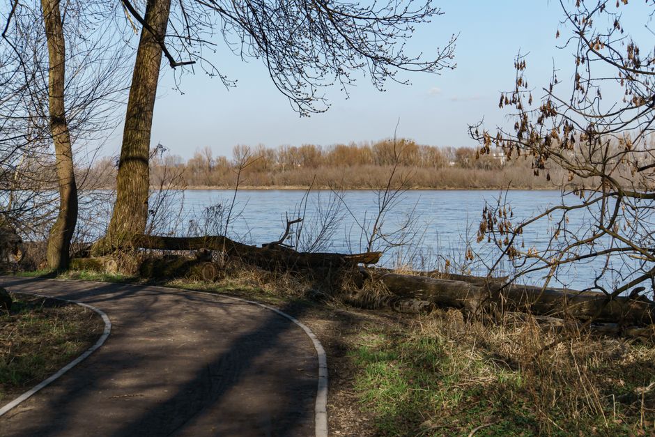 Szeroka rzeka późną jesienią, zalesiony dziki brzeg po drugiej stronie, zwalone pnie i ścieżka wzdłuż wody
