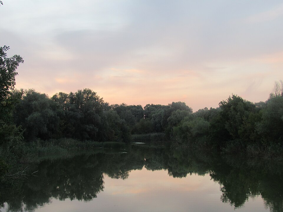 Хорол у Миргороді надвечір: нерухома вода з відображенням рожевого неба, стіна верб і очерету по обох берегах, вузький прохід русла вдалині
