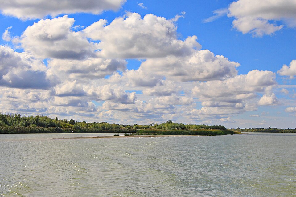 Рукав Дунаю біля Вилкового: мутнувата зеленувато-сіра вода, низький острів з очеретом і вербняком, піщана коса й високі купчасті хмари