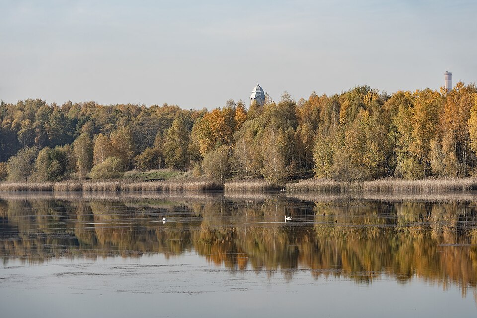 Staw Morawa w Katowicach jesienią: gładka tafla, pas trzcin, las w barwach jesieni i komin na horyzoncie