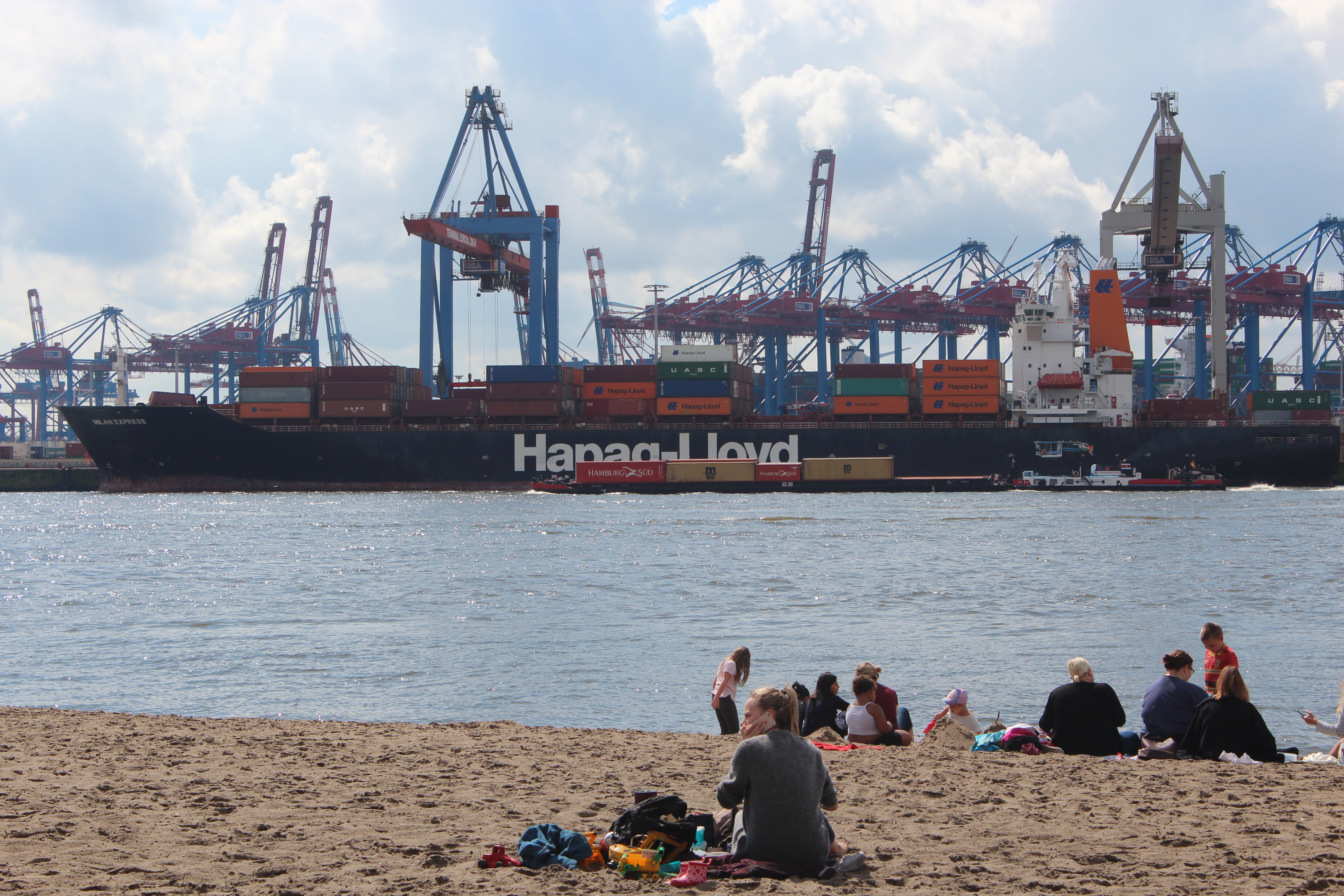 Elbufer in Hamburg
