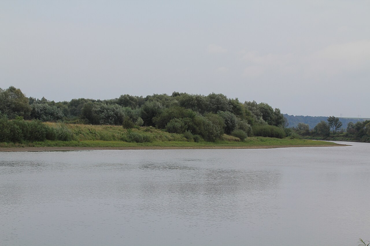 Бурштинське водосховище: широка спокійна вода під сірим небом, низький берег із піщаною смугою й густим верболозом навпроти, опори ліній електропередач на далекому обрії