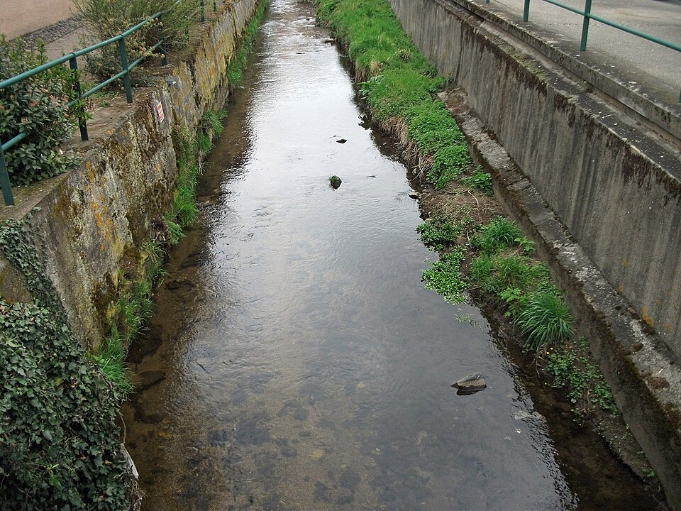 L'Artière à Aubière, près de Clermont-Ferrand : un petit cours d'eau clair à fond de galets, encaissé entre deux murs de soutènement en béton et pierre, herbe et lierre sur les berges