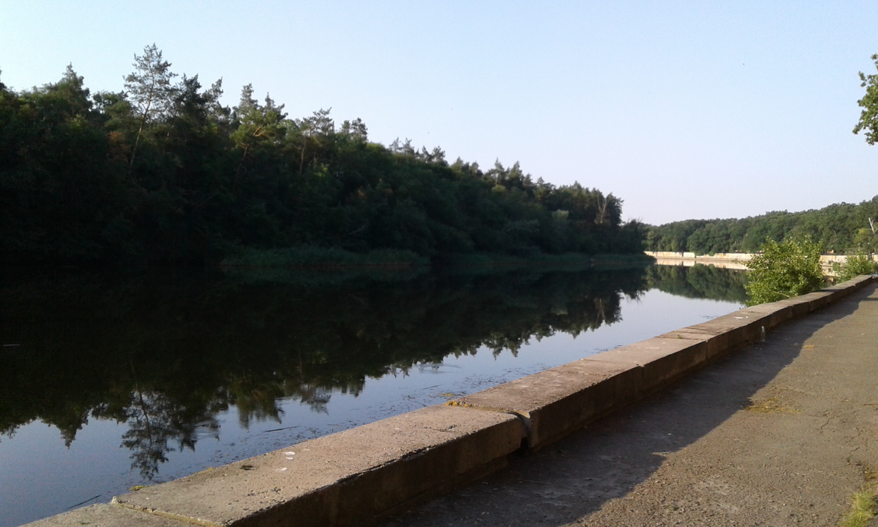 Самара у города на рассвете: тихая вода с отражением соснового леса, бетонная набережная справа, лесистый берег напротив