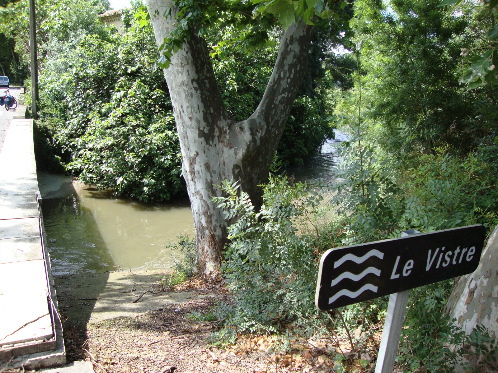 Le Vistre : un cours d'eau étroit aux eaux troubles, encaissé entre un quai bétonné et une berge en friche, sous un grand platane, avec un panneau routier portant son nom