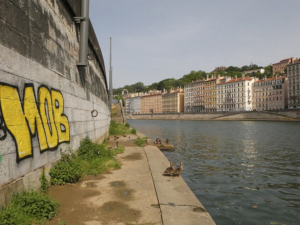 La Saône à Lyon depuis le quai bas : mur de quai couvert de graffitis et anneaux d'amarrage au premier plan, l'eau au niveau du chemin, les façades du quai Saint-Vincent et la colline en face
