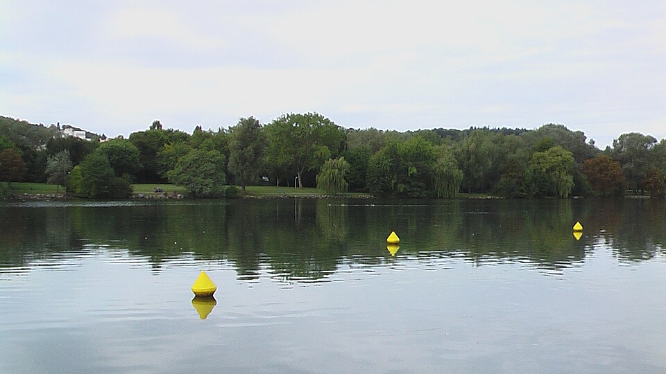 Le lac Kir à Dijon depuis la rive sud : plan d'eau calme et gris, deux bouées jaunes de balisage au premier plan, rideau de saules et bois sur la rive opposée