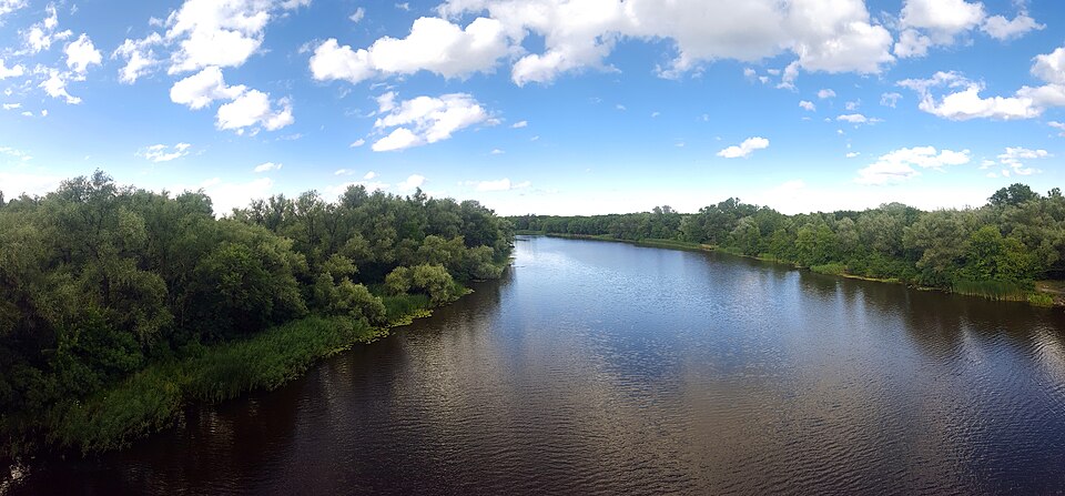 Заплава Псла з мосту біля Горішніх Плавнів: широка рівнинна річка, вербові зарості по обох берегах, очерет уздовж урізу, високе небо з купчастими хмарами