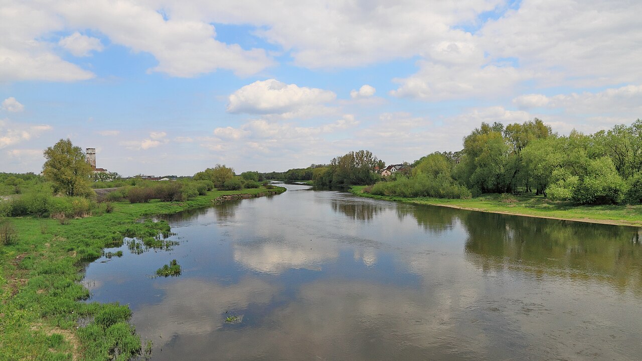 Західний Буг біля Сокаля: широка спокійна річка між зеленими луками, верболіз по берегах, відображення хмар у воді, дзвіниця на далекому обрії