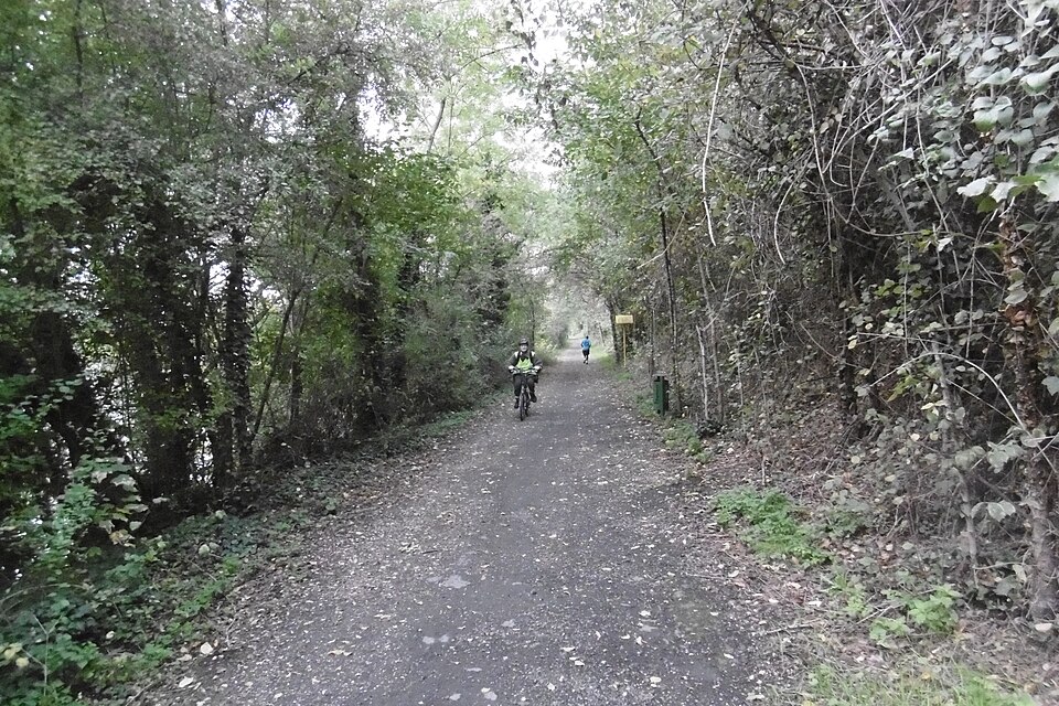 Chemin au bord de la Seine à Argenteuil : sentier de terre longeant l'eau calme, végétation dense et arbres d'automne sur la berge, rive opposée boisée